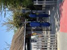 IMG_7560.jpeg