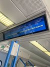 IMG_5678.jpeg
