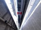 IMG_7507.jpeg