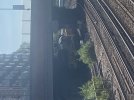 IMG_5745.jpeg
