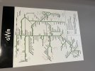 IMG_8738.jpeg