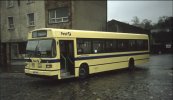 IMG_0135.jpeg