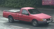 IMG_7942.jpeg