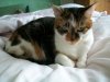 100_0039.jpg