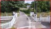 Capture3.JPG