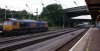 DSC00499 resize.jpg