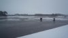 P1060006.jpg