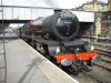 6201 at scarborough (4).jpg