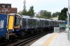 380109.jpg