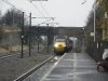43207.jpg