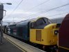SDC10747.jpg