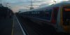 DSCF0010.jpg