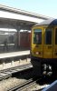 SDC10539.jpg