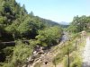 DSC00564.jpg