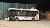 IMG_3250.jpeg