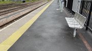 IMG_8955.jpeg