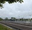 IMG_8953.jpeg