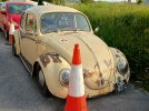 Beetle.jpg
