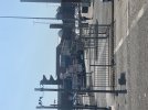 IMG_0743.jpeg