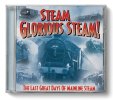 steamglorioussteam_0bfeaae4-1bc9-4654-bea6-ecb838cbbc4d_1200x1200.jpg