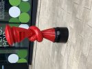 IMG_8952.jpeg