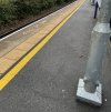 IMG_3880.jpeg