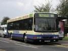 IMG_1312.jpeg