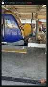 IMG_1317.jpeg