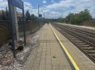 IMG_9611.jpeg