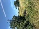 IMG_2533.jpeg