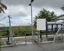 IMG_3879.jpeg