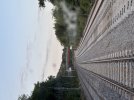 IMG_2268.jpeg
