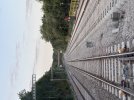 IMG_2269.jpeg