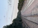 IMG_2270.jpeg