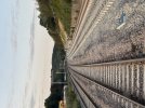 IMG_2271.jpeg