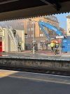 IMG_5959.jpeg