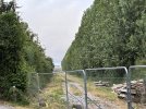 IMG_8053.jpeg