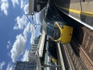 IMG_1031.jpeg