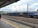 IMG_8098.jpeg