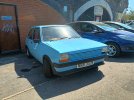 81 FIESTA.jpg