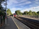 IMG_5232.jpeg