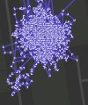 IMG_1921.jpeg