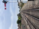 IMG_6132.jpeg