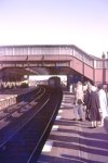 Scotland 1960.jpeg
