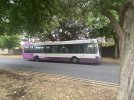 IMG_1559.jpeg