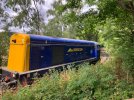 IMG_1336.jpeg