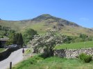 IMG_1809.JPG