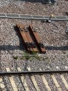 IMG_3978.jpeg