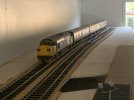 IMG_8791.jpeg