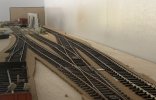 IMG_8792.jpeg